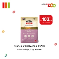 2026-03-31-Zoo-800x800 4.jpg