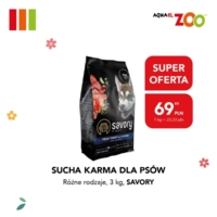 2026-03-31-Zoo-800x800 3.jpg