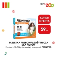 2026-03-31-Zoo-800x800 1.jpg