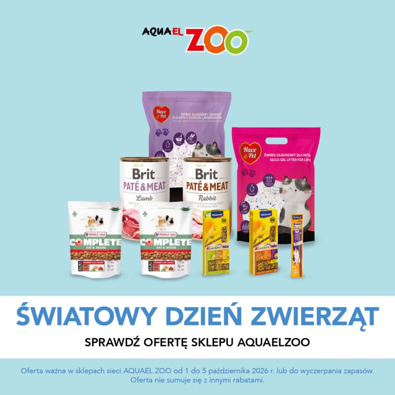 Światowy Dzień Zwierząt
