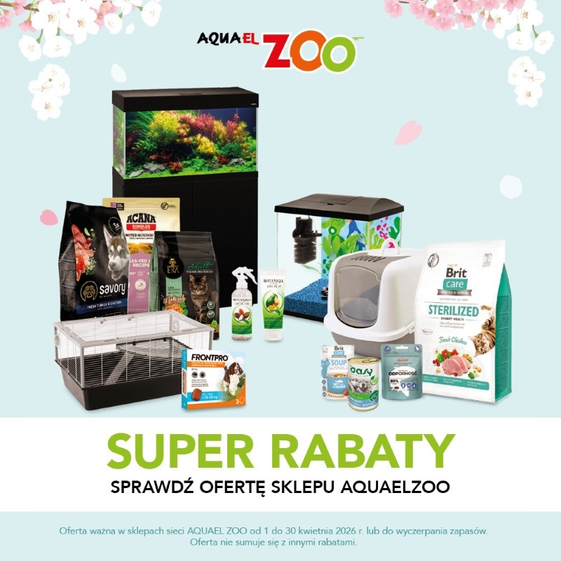 2026-03-31-Zoo-800x800